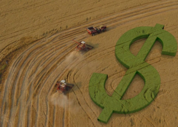 Banco Do Brasil (Bbas3): Crédito Para Agro Deve Ter Pontualidade De 95% Em 2026 - Gazeta Mercantil