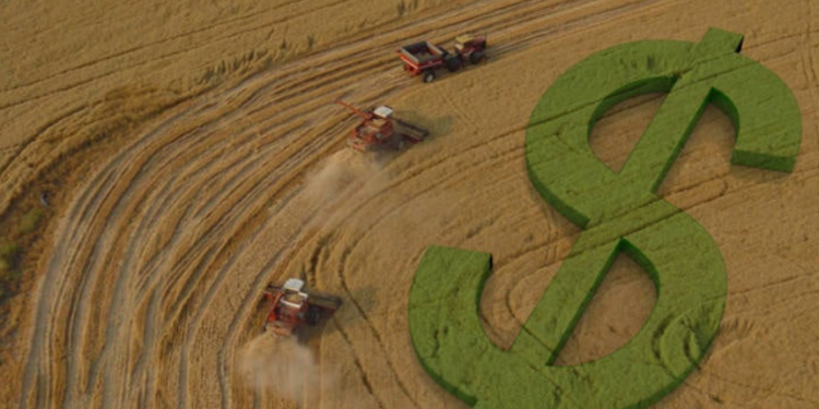 Banco Do Brasil (Bbas3): Crédito Para Agro Deve Ter Pontualidade De 95% Em 2026 - Gazeta Mercantil