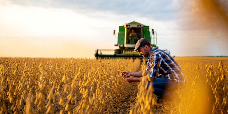 Safra recorde impulsiona biodiesel e fortalece peso do agronegócio no PIB brasileiro 1 GAZETA MERCANTIL Agronegócio Brasileiro Enfrenta Impacto Da Guerra Global Com Alta De Custos E Pressão Nas Exportações-Gazeta Mercantil