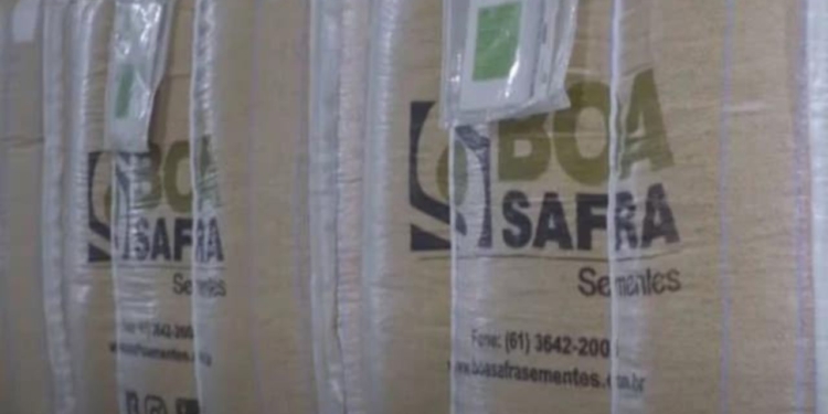 Boa Safra aprova financiamento de até R$ 332,45 milhões com a Finep 1 GAZETA MERCANTIL Boa Safra (Soja3) Gazeta Mercantil