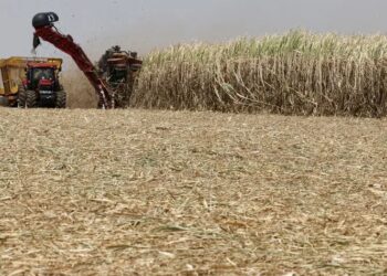Produção De Açúcar E Etanol Dispara No Centro-Sul E Supera Projeções Do Mercado-Gazeta Mercantil
