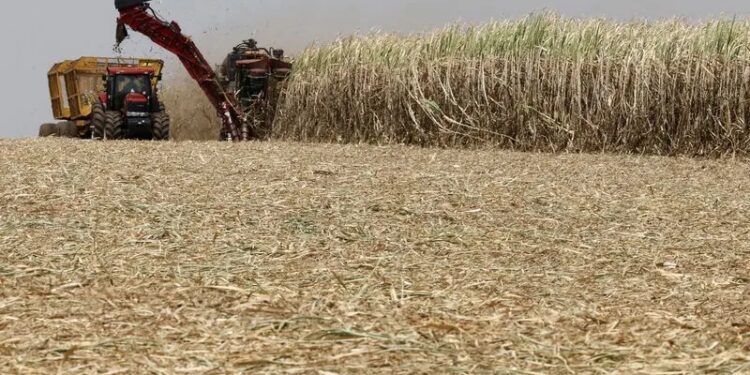 Produção De Açúcar E Etanol Dispara No Centro-Sul E Supera Projeções Do Mercado-Gazeta Mercantil