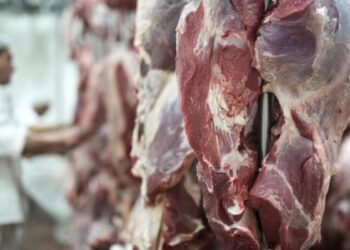 China Libera Frigoríficos Brasileiros E Retoma Compra De Carne Bovina Após Um Ano-Gazeta Mercantil