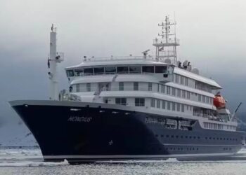 Vírus Hantavírus Em Navio Acende Alerta Da Oms Para O Brasil - Gazeta Mercantil - Saúde Pública