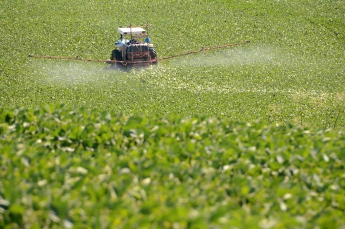 Recuperação judicial no agronegócio cai 20,7%, mas endividamento preocupa