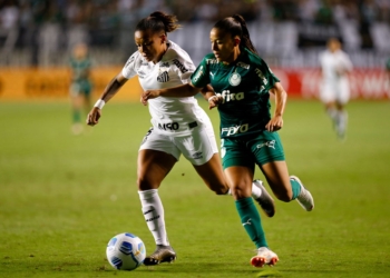 Santos X Palmeiras: Onde Assistir, Horário E Cenário Do Clássico Pelo Paulista Feminino-Gazeta Mercantil