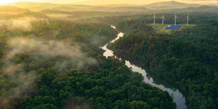 BNDES mobiliza R$ 14,1 bilhões para florestas, bioeconomia e restauração ambiental 1 GAZETA MERCANTIL Bndes Mobiliza R$ 14,1 Bilhões Para Florestas E Acelera Investimentos Na Economia Verde-Gazeta Mercantil