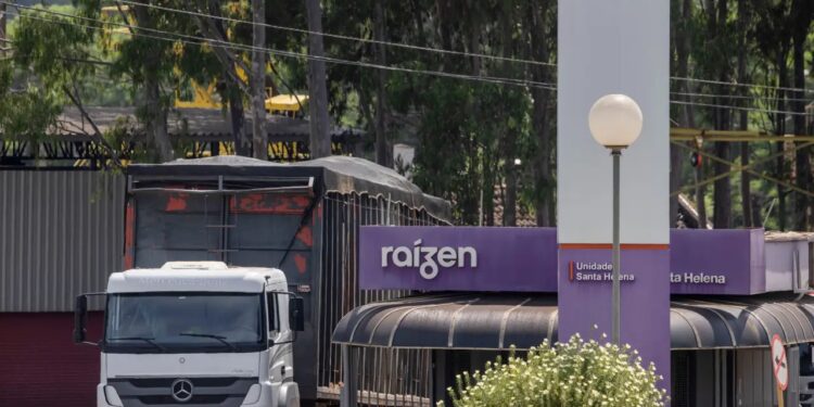 Cade libera venda da Raízen na Argentina para Mercuria por US$ 1,42 bi e acelera plano de corte de dívida 1 GAZETA MERCANTIL Cade Aprova Venda Da Raízen Na Argentina Por Us$ 1,42 Bilhão Para Mercuria-Gazeta Mercantil