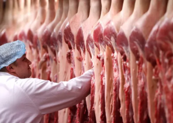 Eua Ampliam Cota De Carne Bovina Em 300 Mil Toneladas E Abrem Janela Para Exportadores Brasileiros-Gazeta Mercantil