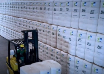 SLC Agrícola (SLCE3) reduz compra de terras em MT, mas preço por hectare mantém cautela sobre a ação 2 GAZETA MERCANTIL Slc Agrícola (Slce3) Reduz Compra De Terras Em Mt, Mas Preço Por Hectare Mantém Cautela Sobre A Ação - Gazeta Mercantil