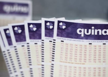 Quina Hoje Tem Prêmio De R$ 4,6 Milhões; Veja Horário E Como Apostar No Concurso 7083-Gazeta Mercantil