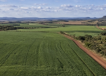 Brasilagro (Agro3) Vende Área Na Bahia Por R$ 96,4 Milhões E Prevê Ganho De R$ 51,5 Milhões