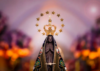 Tse Julga Posts Sobre Nossa Senhora Aparecida Após Decisões De Mendonça, Dino E Fux